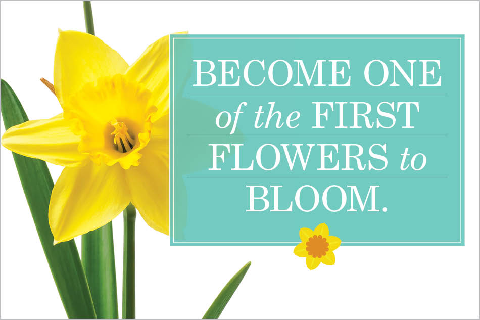 Become one of the first flowers to bloom